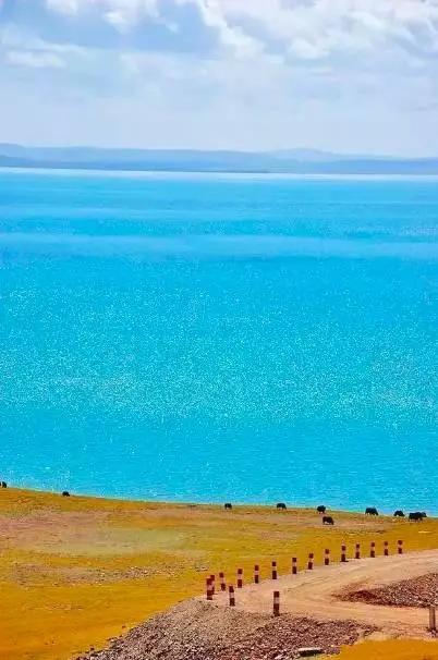 秘境之旅，青海的独特魅力与壮丽风光