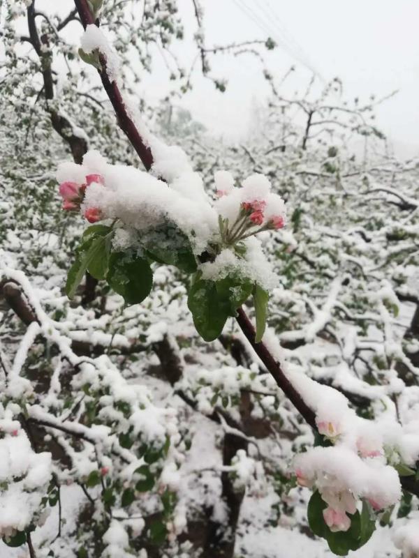 千年古韵,现代繁华——邢台传奇之旅