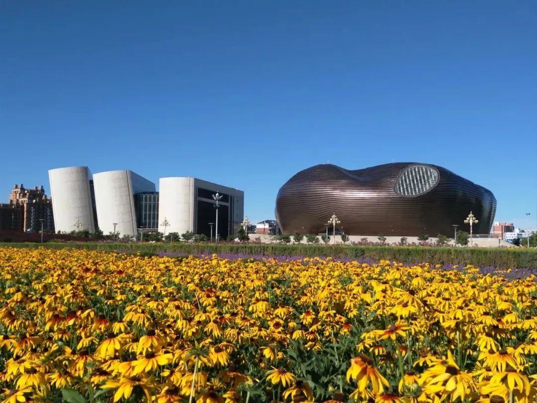 鄂尔多斯,城市之声,听众之友